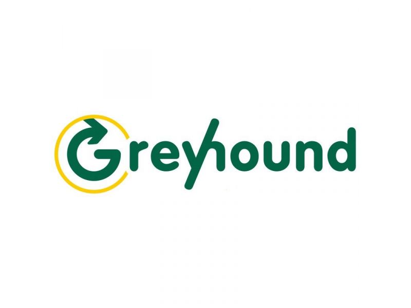 greyhound