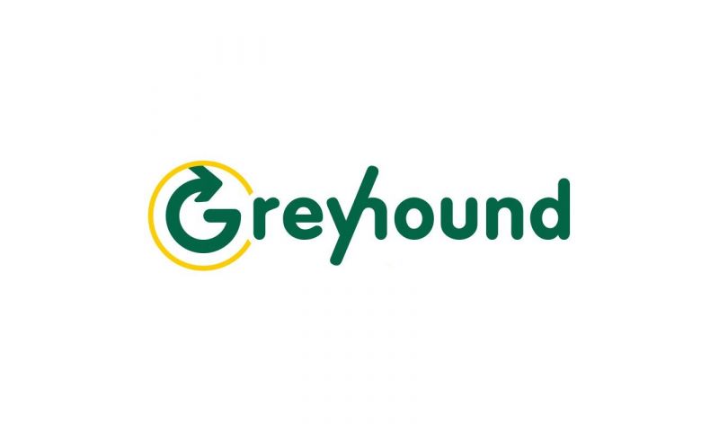 greyhound